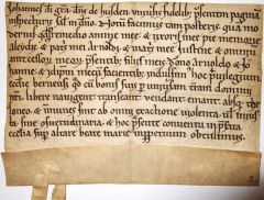 Jan I, heer van Heusden, schenkt samen met zijn zonen Arnold en Jan aan de abdij van Berne tol- en handelsvrijheid binnen zijn gebied. (uiterlijk 31 december 1217)